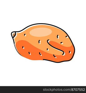 sweet orange potato color icon vector. sweet orange potato sign. isolated symbol illustration. sweet orange potato color icon vector illustration