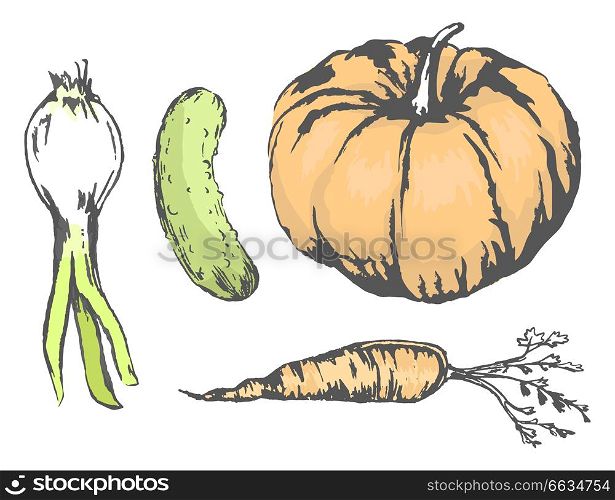 Sweet pumpkin, juicy cucumber, crispy carrot and spicy leek isolated vector illustrations set on white background. Tasty autumn harvest sketches.. Delicious and Healthy Vegetables Illustrations Set