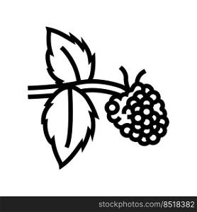 sweet raspberry fruit line icon vector. sweet raspberry fruit sign. isolated contour symbol black illustration. sweet raspberry fruit line icon vector illustration