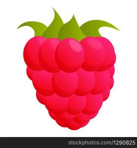 Sweet raspberry icon. Cartoon of sweet raspberry vector icon for web design isolated on white background. Sweet raspberry icon, cartoon style