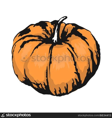 Sweet ripe organic pumpkin with small tail isolated sketch on white background. Delicious healthy gourd plant vector illustration.. Sweet Ripe Pumpkin Isolated Sketch Illustration