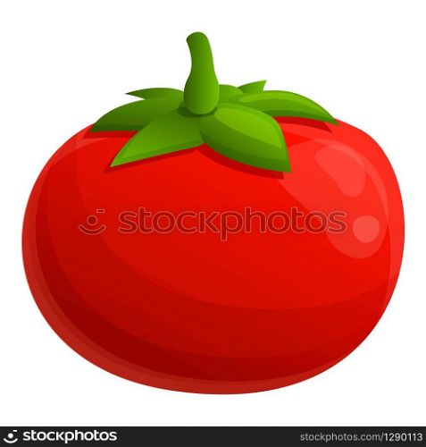 Sweet tomato icon. Cartoon of sweet tomato vector icon for web design isolated on white background. Sweet tomato icon, cartoon style