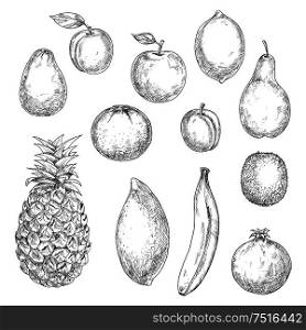 Sweet tropical pineapple and orange, banana and mango, kiwi and apple, pear and peach, avocado and lemon, pomegranate and apricot fruits. Sketches in retro style for cocktail recipe, dessert theme. Tropical and garden fruits sketches