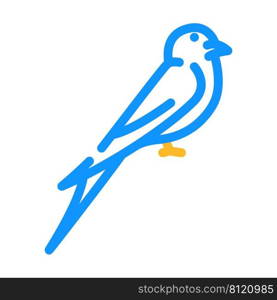 swift bird color icon vector. swift bird sign. isolated symbol illustration. swift bird color icon vector illustration