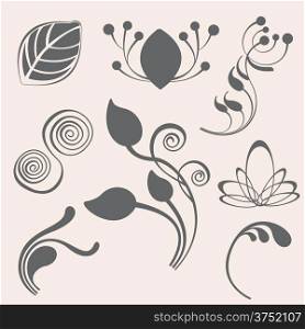 Swirl and floral vector elements in various styles for ornate and decoration