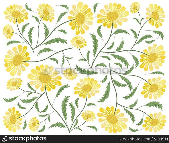 Symbol of Love, Background of Bright and Beautiful Yellow Daisy or Gerbera Flowers.