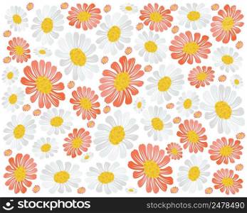 Symbol of Love, Background of Red and White Daisy or Gerbera Flowers in A Green Garden for Home and Building Decoration.
