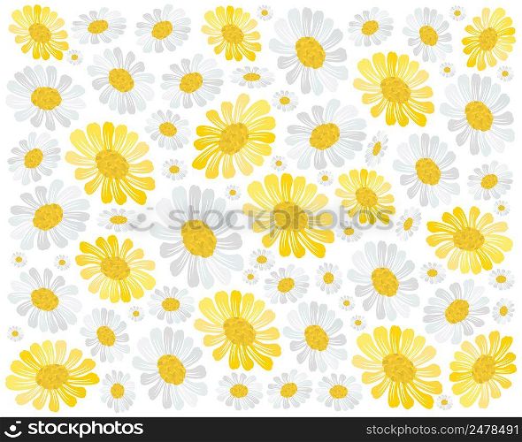 Symbol of Love, Illustration Background of Yellow and White Cosmos Flowers or Cosmos Bipinnatus Isolated on White Background.