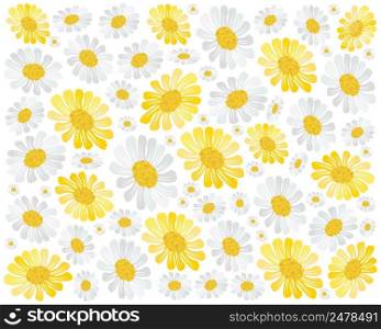 Symbol of Love, Illustration Background of Yellow and White Cosmos Flowers or Cosmos Bipinnatus Isolated on White Background.