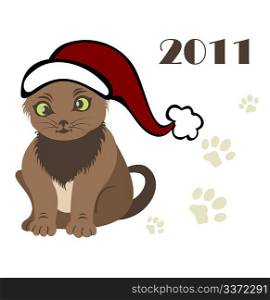 Symbol of the new year 2011 Cat - vector