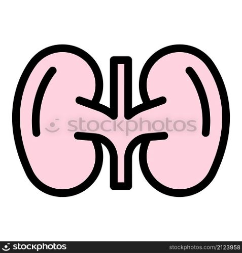 System kidney icon. Outline system kidney vector icon color flat isolated. System kidney icon color outline vector