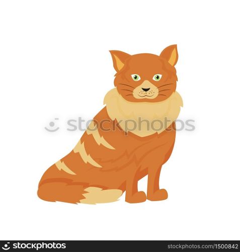 Tabby cat flat color vector character. Domestic animal in shelter. Pet sitting and daycare. Grooming for kitten. Cat sit isolated cartoon illustration for web graphic design and animation. Tabby cat flat color vector character