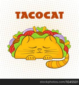 Taco cat sleeping character mexican fast food tacos symbol vector illustration. Cute cat mascot with tasty beef meat, salad and tomato in delicious taco with sign Tacocat for cafe design or promo. Taco cat sleeping character mexican fastfood tacos