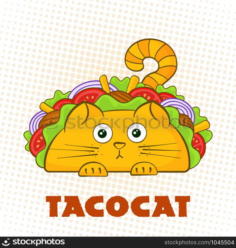 Tacocat surprised character fast food taco symbol vector illustration. Puzzled cat mascot with tasty beef meat, salad and tomato in traditional taco with sign Tacocat for social media promotion. Tacocat surprised character fast food taco symbol