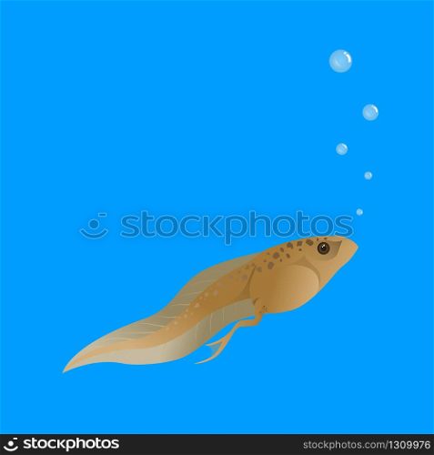 Tadpoles are in the water and breathing with bubbles on a blue background.