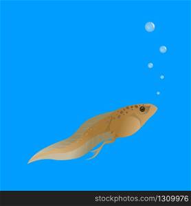 Tadpoles are in the water and breathing with bubbles on a blue background.