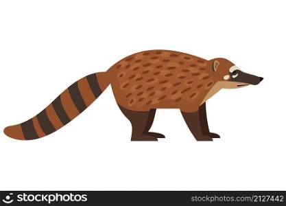 Tailed exotic animal. Cartoon cute fluffy character of wildlife, endangered beast of nature, vector illustration of coati isolated on white background. Tailed exotic coati animal