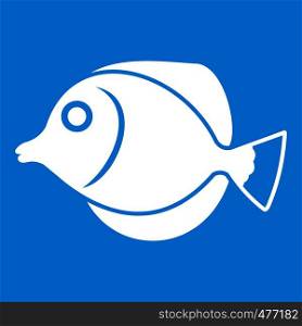 Tang fish, Zebrasoma flavescens icon white isolated on blue background vector illustration. Tang fish, Zebrasoma flavescens icon white