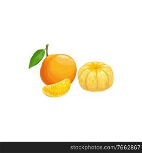 Tangerine fruit, tropical exotic citrus, vector isolated food icon. Tangerine mandarin orange fruits peeled lobule and whole, tropic farm juicy exotic fruits harvest and fruity dessert ingredient. Tangerine fruit, tropical exotic citrus fruit food