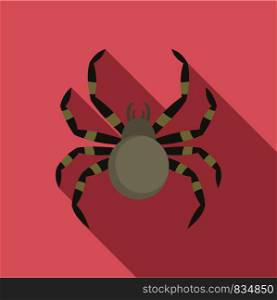 Tarantum spider icon. Flat illustration of tarantum spider vector icon for web design. Tarantum spider icon, flat style