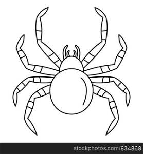Tarantum spider icon. Outline tarantum spider vector icon for web design isolated on white background. Tarantum spider icon, outline style