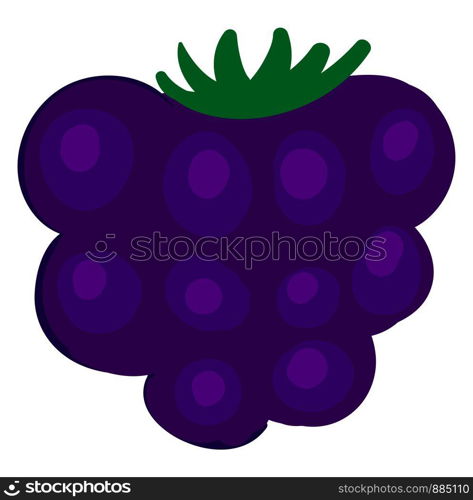 Tasty blackberry, illustration, vector on white background.