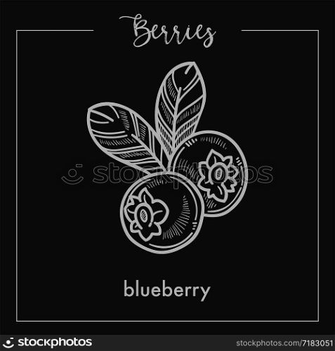 Tasty blueberry with leaves monochrome berry sepia sketch. Healthy natural food full of vitamins. Delicious ripe fruit from bush isolated cartoon flat vector illustration. Tasty blueberry with leaves monochrome berry sepia sketch.