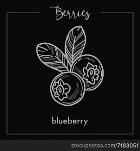 Tasty blueberry with leaves monochrome berry sepia sketch. Healthy natural food full of vitamins. Delicious ripe fruit from bush isolated cartoon flat vector illustration. Tasty blueberry with leaves monochrome berry sepia sketch.