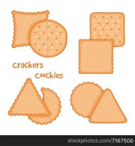Tasty crackers and cookies set vector illustration. Cracker snack isolated, tasty bakery cookie. Tasty crackers and cookies set vector illustration