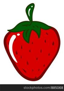 Tasty strawberry, illustration, vector on white background.