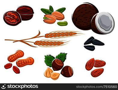 Tasty walnuts, peanuts, almonds, hazelnuts, pistachios, coconuts, sunflower seeds and wheat isolated on white, for vegetarian food and healthy snack design. Nuts, sunflower seeds and wheat ears