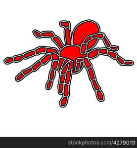 Tattoo of black widow isolated on white background.