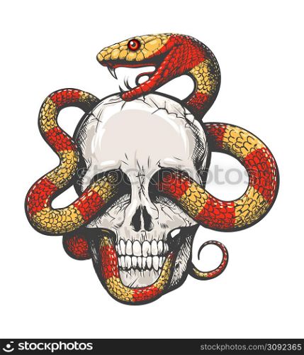 Tattoo of Human Skull and Tropical Snake isolated on white background. vector illustration.