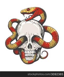 Tattoo of Human Skull and Tropical Snake isolated on white background. vector illustration.