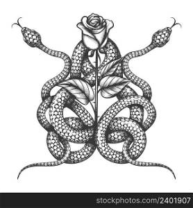 Tattoo of Two Snake and Rose Flower isolated on white. Vector illustration.