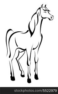 Tattoo standing horse