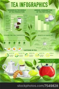 Tea infographics with vector graphs and charts of hot beverage statistics. Caffeine content, production and consumption of black, green and herbal tea diagrams with leaves, cups, teapots and chamomile. Tea beverage vector infographics, charts, graphs