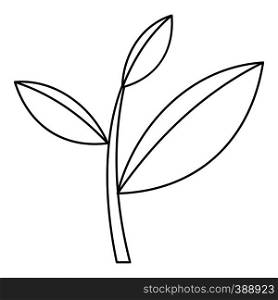 Tea leaf icon. Outline illustration of tea leaf vector icon for web. Tea leaf icon, outline style