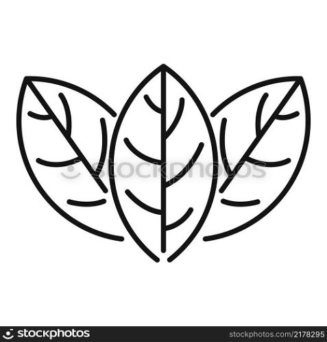 Tea leaf icon outline vector. Hot drink. Herbak water. Tea leaf icon outline vector. Hot drink