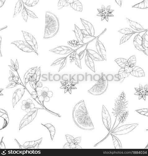 Tea leaf pattern. Seamless texture of green and black morning drink. Hand drawn engraving of plant branches with flowers. Anise and lemon piece sketch. Fresh foliage. Vector graphic print template. Tea leaf pattern. Seamless texture of green and black morning drink. Hand drawn engraving of branches with flowers. Anise and lemon piece sketch. Fresh foliage. Vector print template