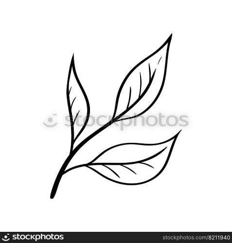 Tea leaves icon in simple sketch style. Isolated sign for tea business, cafe or packaging