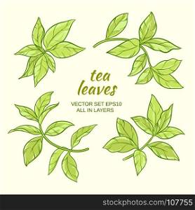 tea leaves set. green tea leaves vector set