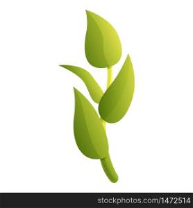 Tea plant icon. Cartoon of tea plant vector icon for web design isolated on white background. Tea plant icon, cartoon style