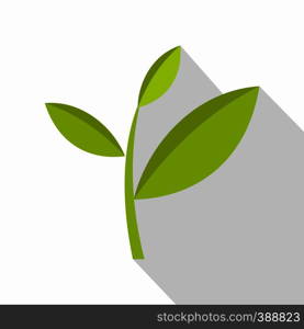 Tea plant icon. Flat illustration of tea plant vector icon for web isolated on white background. Tea plant icon, flat style