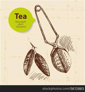 Tea vintage background. Hand drawn sketch illustration