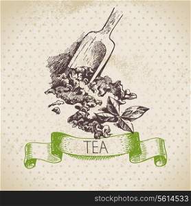 Tea vintage background. Hand drawn sketch illustration. Menu design
