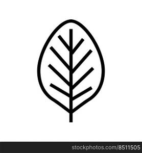teak leaf line icon vector. teak leaf sign. isolated contour symbol black illustration. teak leaf line icon vector illustration