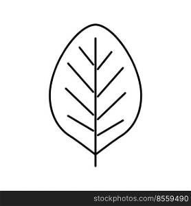 teak leaf line icon vector. teak leaf sign. isolated contour symbol black illustration. teak leaf line icon vector illustration