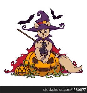 Teddy bear in a witch hat and mantle with a broom in his hands sits on a Halloween pumpkin with black cat and bats. Vector illustration isolated on white background. Print for poster and postcard.