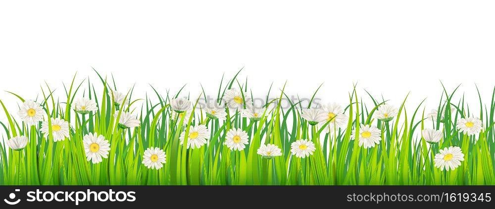 Template background Spring field of flowers of daisies and green juicy grass, meadow, blue sky, white clouds. Template background Spring field of flowers of daisies and green juicy grass, meadow, blue sky, white clouds. Vector, illustration, isolated, banner, flyer